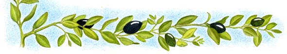 ruth-bottom-bottom-border-left-corner-Olives